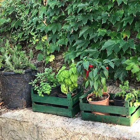 My Eden 아파트호텔