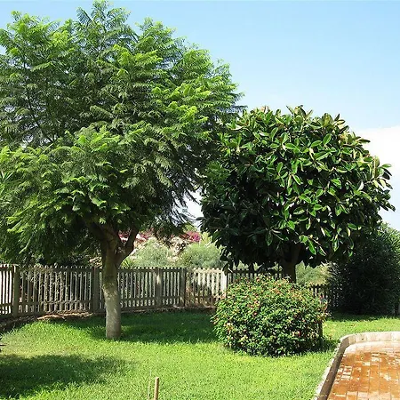 My Eden 2*
