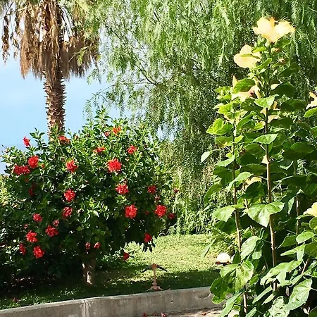 My Eden 아파트호텔 2*