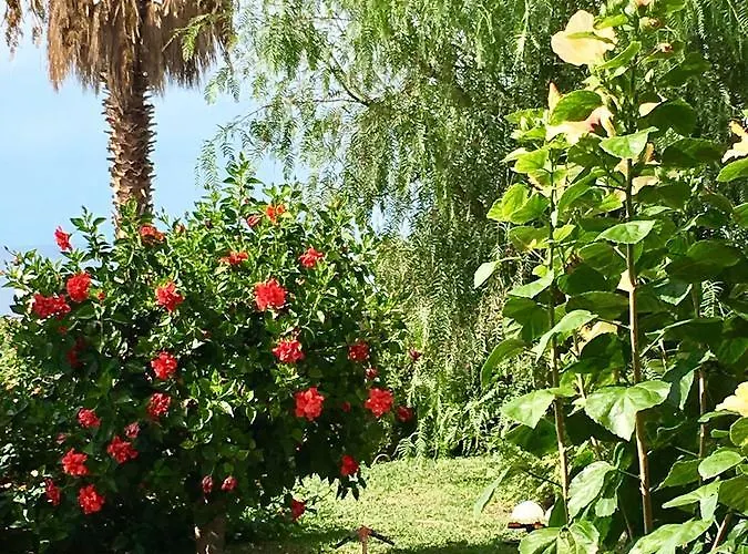 My Eden Apart-hotel 2*